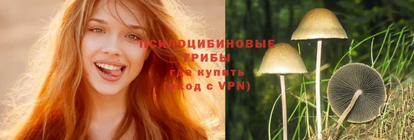 стафф Алзамай