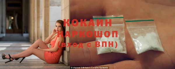 стафф Алзамай