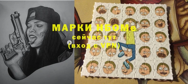 стафф Алзамай