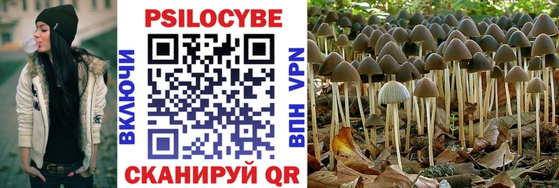 Галлюциногенные грибы Cubensis Аткарск